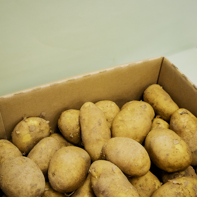 Patata Agra Especial per Fregir Caixa 10Kg