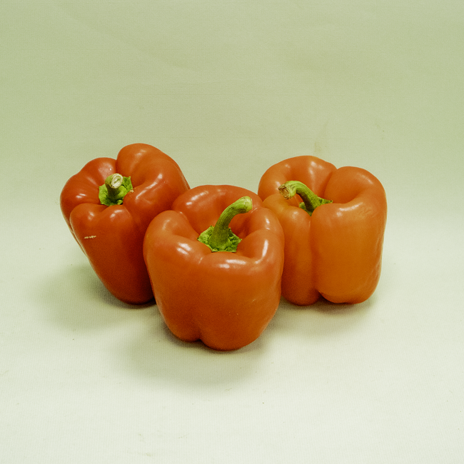 Pebrot California Vermell