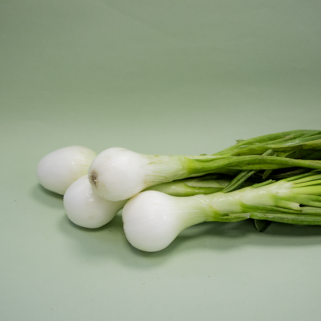 Cebolleta Tierna