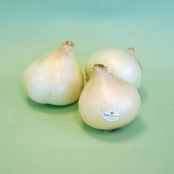 Ceba Dolça per Amanida