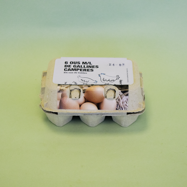 Huevos Gallines Camperas 1/2 Docena de Caldes