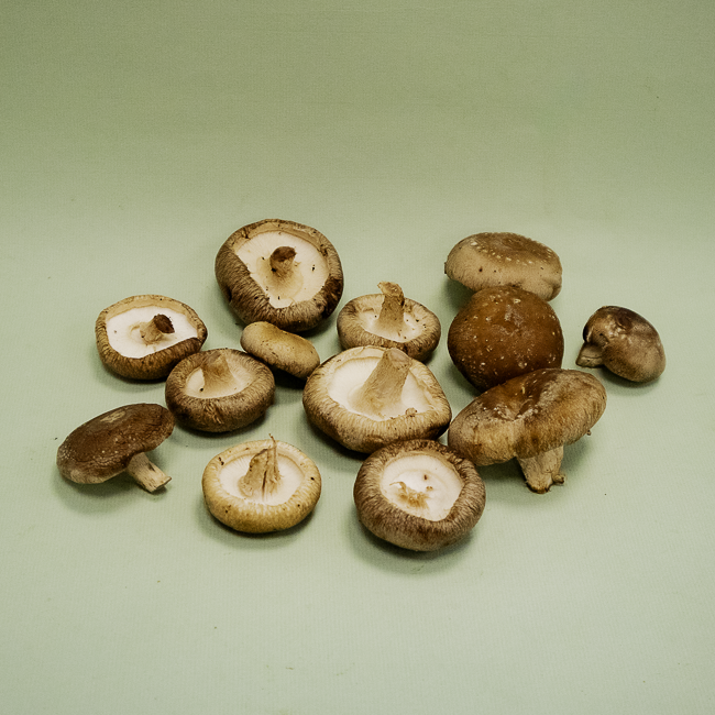 Shitake Granel