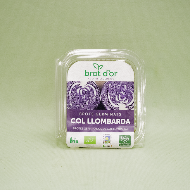 Germinado Bio de Col Lombarda (70 g)