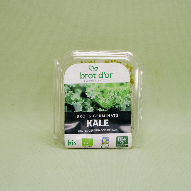 Germinado Bio de Col Kale (70 g)