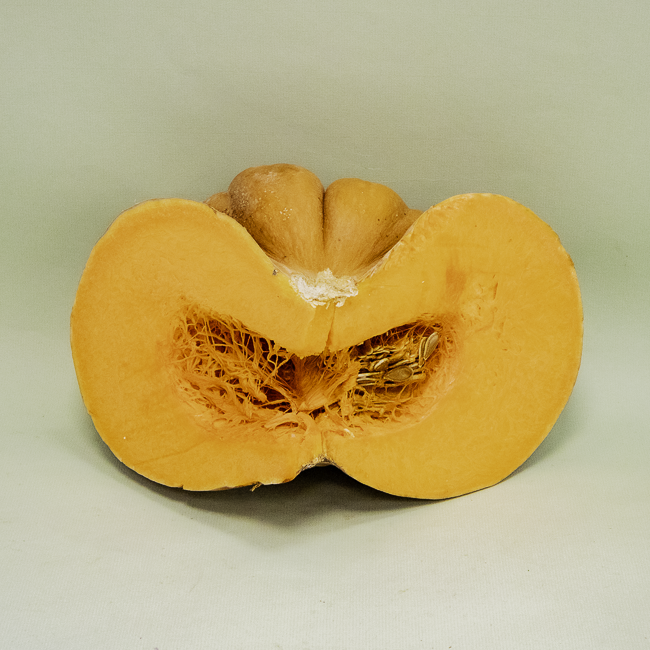 Carbassa a Talls 1/4