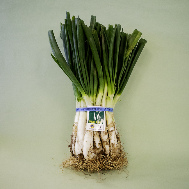Calçots Manojo (25 u.)