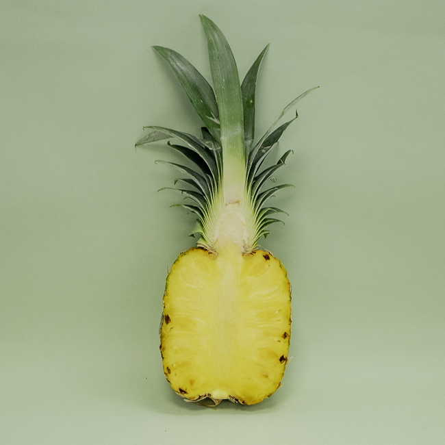 Piña Avión Del Monte (media unidad)