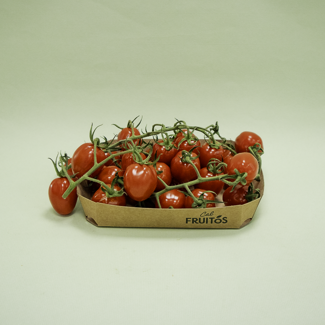 Tomàquet Xerri Pera Branca Granel