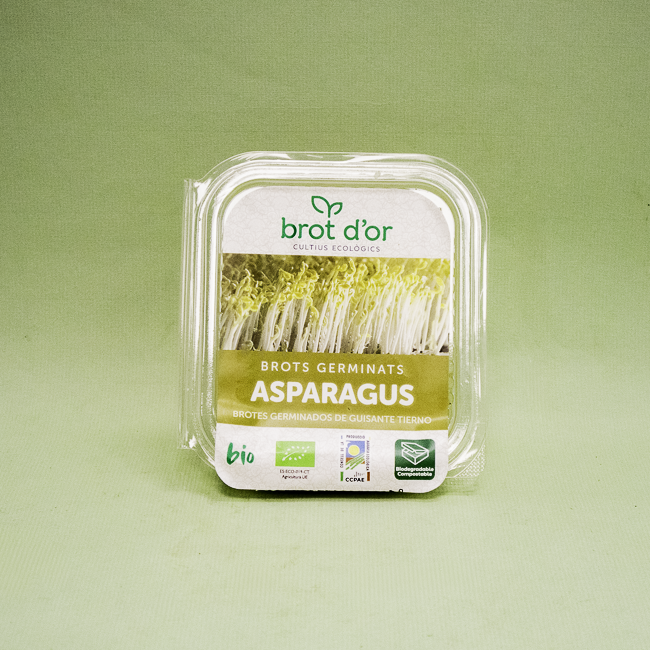 Germinado de Asparagus BIO (50 g)