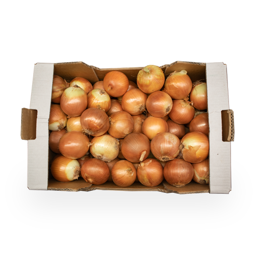 Caixa Ceba Seca 12kg