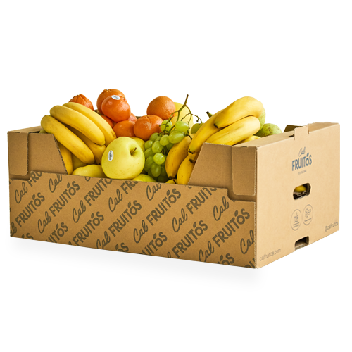 caixa fruita oficina Caixa Temporada 1
