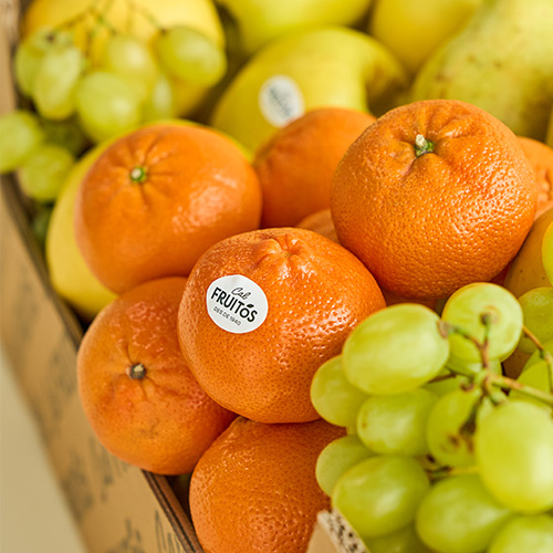 caixa fruita oficina Caixa Temporada 2