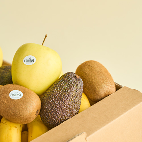 caixa fruita oficina Caixa Tropical 2